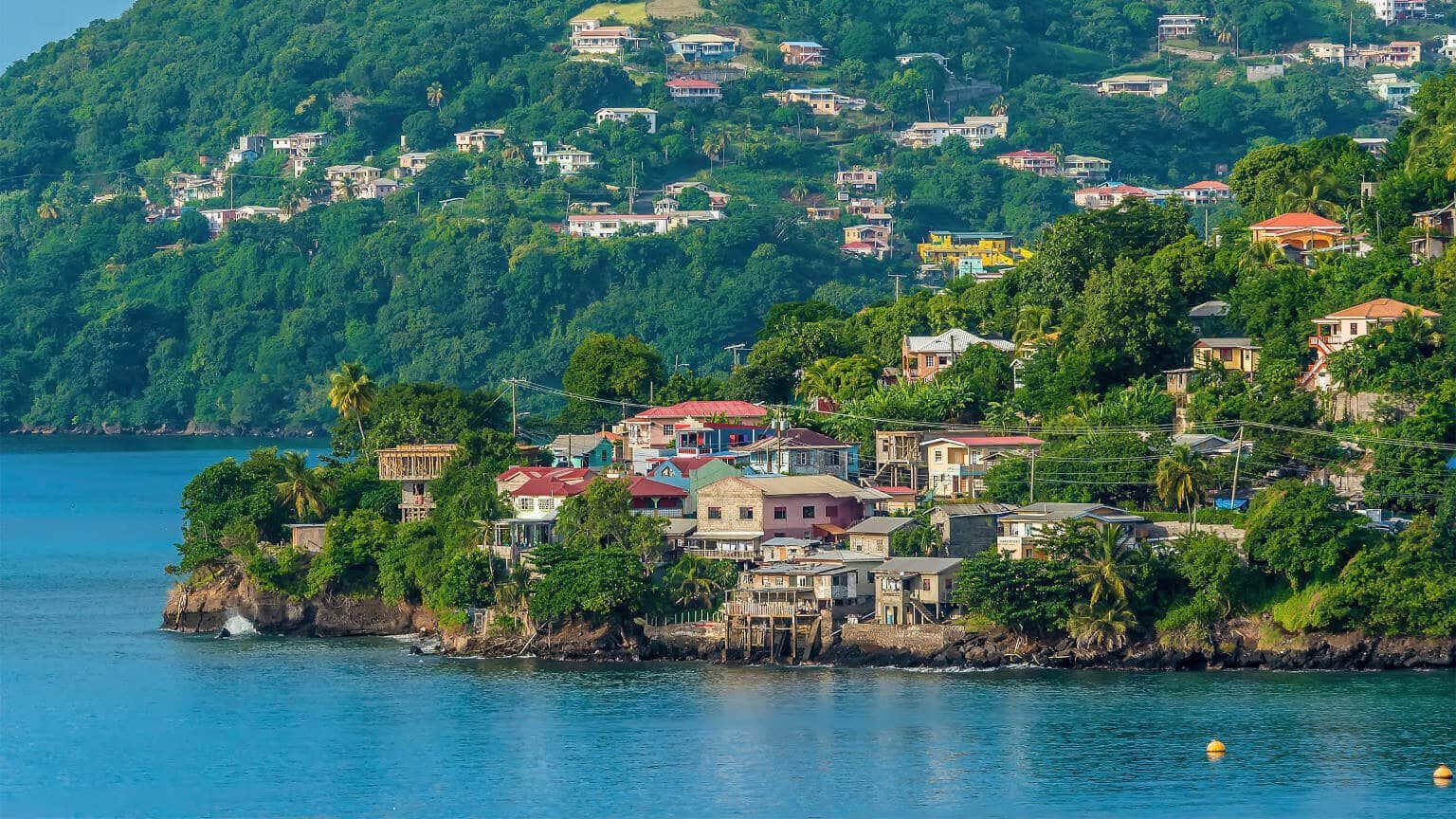 How Many Investors Received Citizenship of Grenada in 2021