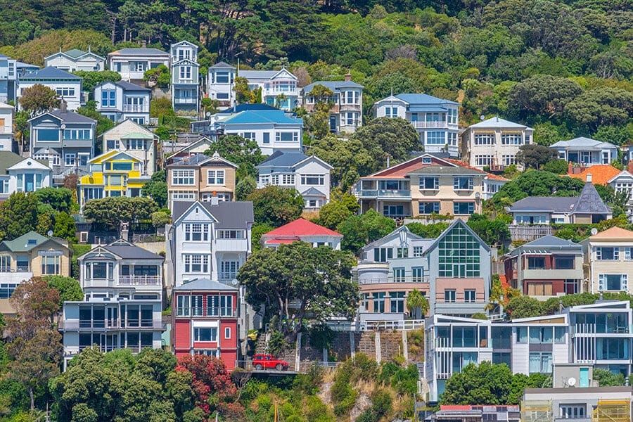 Houses on Mount Victoria in Wellington: passport of New Zealand