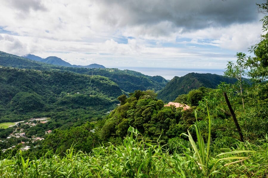 Nature on the island of Dominica