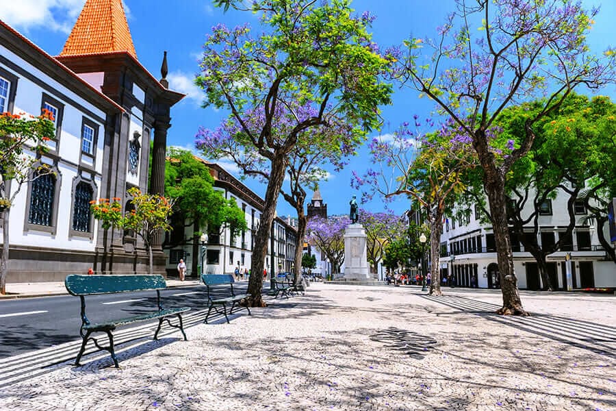 Portuguese cities — Funchal main street